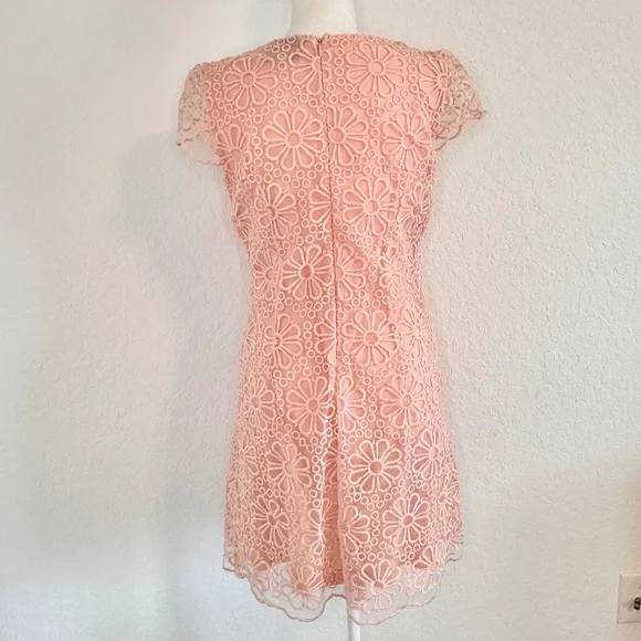 Beige by eci, Peachy/Pink Floral Lace Overlay Sheath Dress, Size 6 - Picture 5 of 10